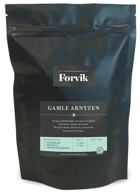 Main Image Gamle Arntzen